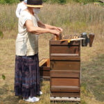 Am Lehrbienenstand Bienenweg, Modul 9 Wabenhygiene und Varroabehandlung
