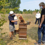Am Lehrbienenstand Bienenweg, Modul 9 Wabenhygiene und Varroabehandlung