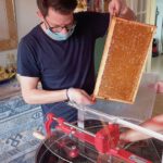 Honigverarbeitung der Villa-Dessauer-Ernte 2020