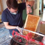 Honigverarbeitung der Villa-Dessauer-Ernte 2020