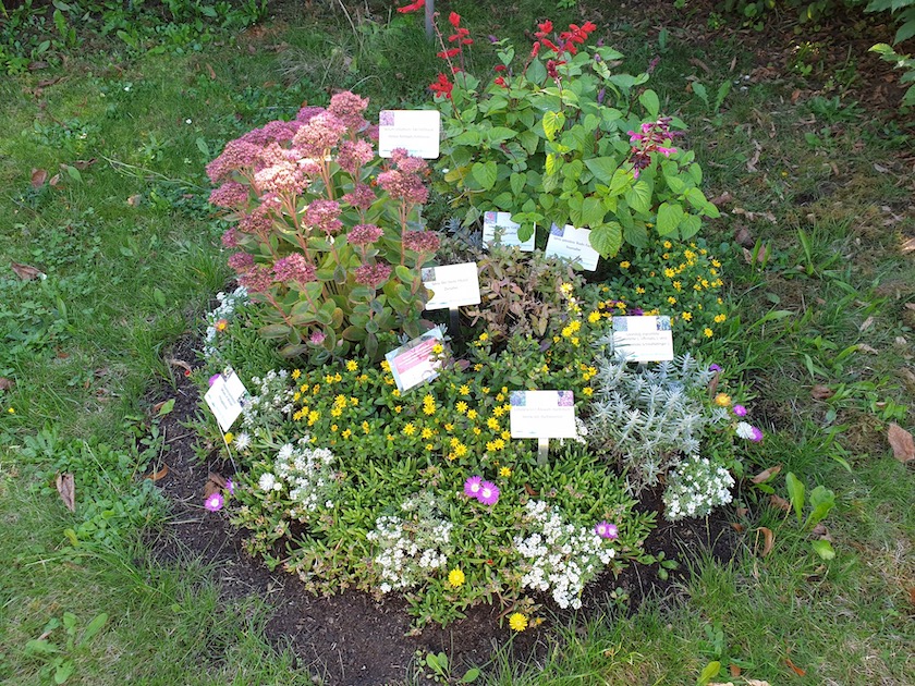 Schau-Grabanlage im Bamberger Bienengarten (angelegt und finanziert von Gärtnerei Böhmerwiese, Sabine Gründler)