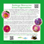 Infotafel Schau-Pfingstrosenbeet im Bamberger Bienengarten