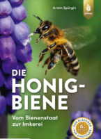 Cover Spürgin, Die Honigbiene, Ulmer