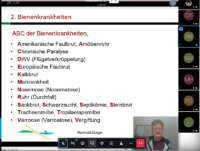 Screenshot Online-Kurs, Imkeranfängerkurs, AK21, Modul 3, Bienenkrankheiten (Reinhold Burger)