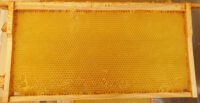 Ausgebaute Wabe