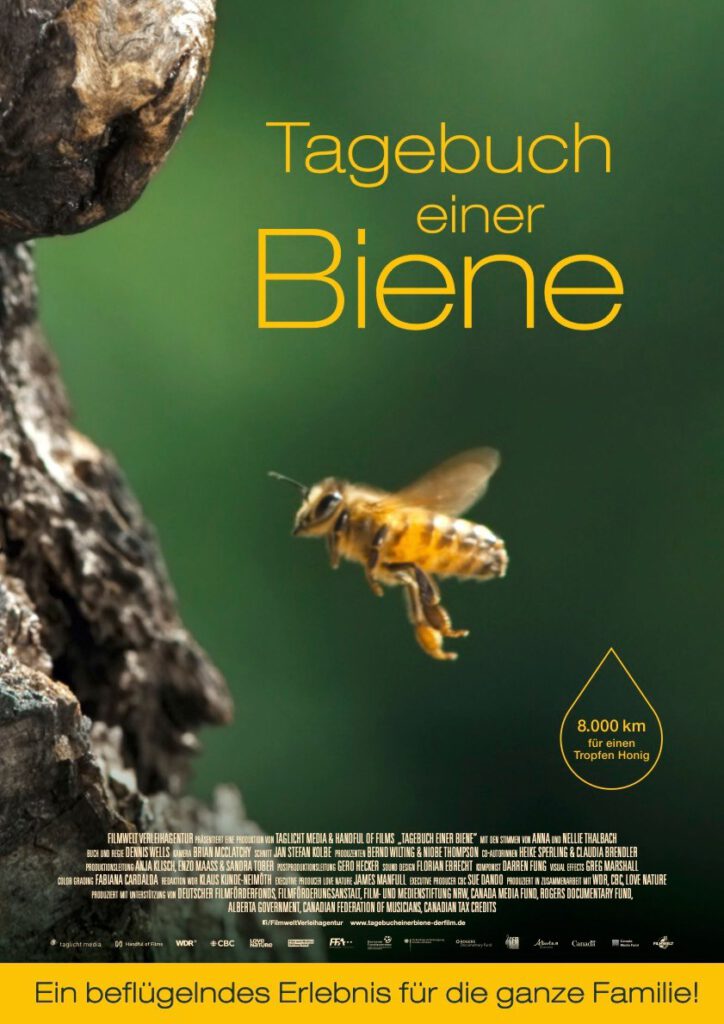Kinofilm "Tagebuch einer Biene"