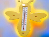 Bienen-Thermometer