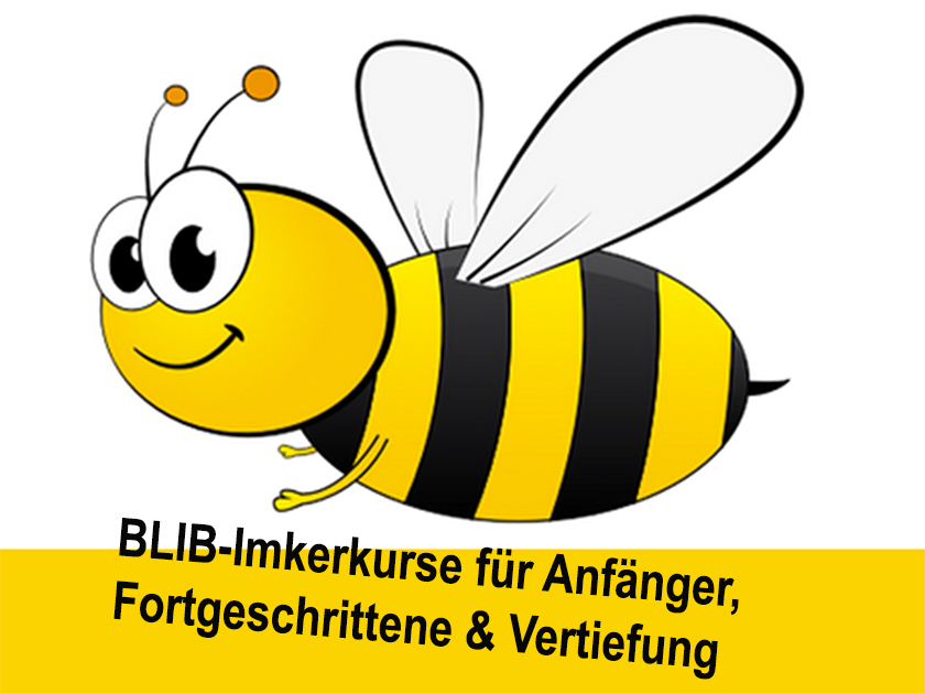 Logo BLIB-Imkerkurse für Anfänger, Fortgeschrittene & Vertiefung