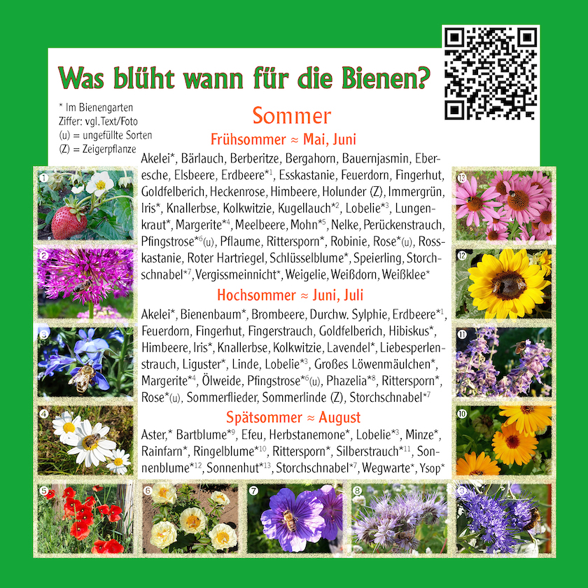 Tafel-Infofries-Natur-Sommer-m