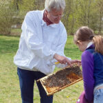 Saisonstart Bienen-InfoWabe Ostersonntag, 17.04.2022