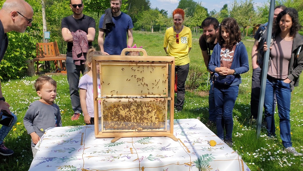 Schaufensterbeute; Bienenführung für Bienenpartin Diana Martin und MR ACR-Team Erlangen