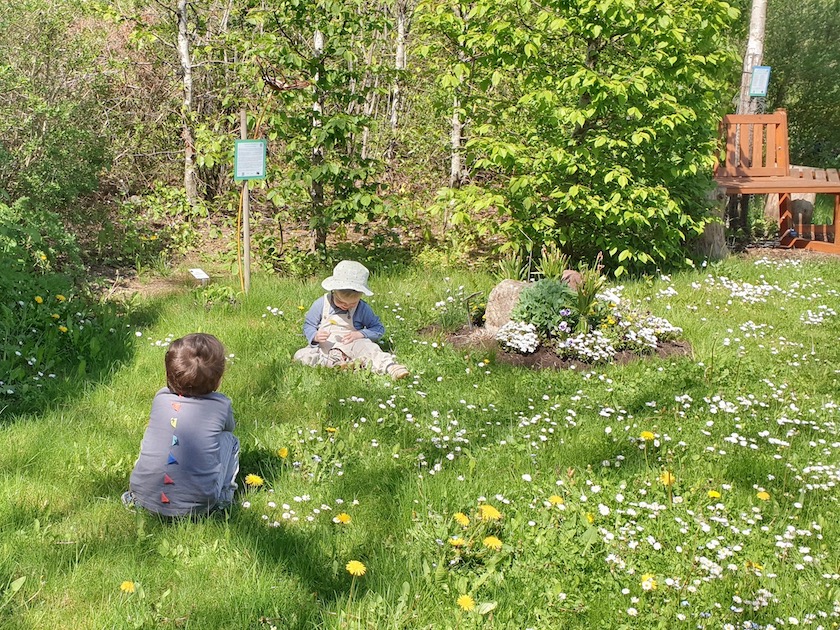 Kleinkinder pflücken Blumen im Bienengarten; Bienenführung für Bienenpartin Diana Martin und MR ACR-Team Erlangen