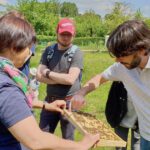 Honigschlecken frisch aus der Wabe; Bienenführung für Bienenpartin Diana Martin und MR ACR-Team Erlangen