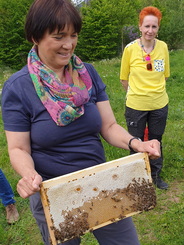 Honigwabe und Bienenpatin Diana Martin;Bienenführung für Bienenpartin Diana Martin und MR ACR-Team Erlangen