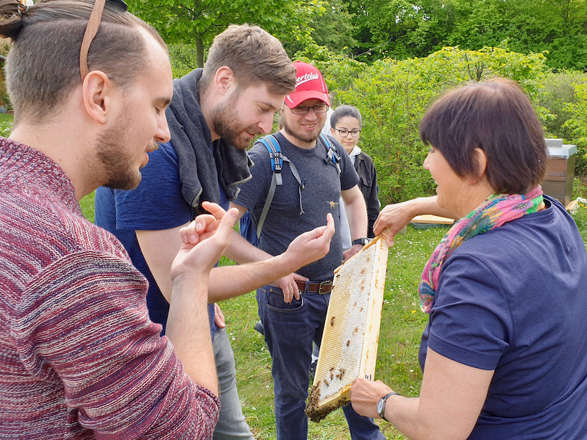 Honigschlecken frisch aus der Wabe; Bienenführung für Bienenpartin Diana Martin und MR ACR-Team Erlangen