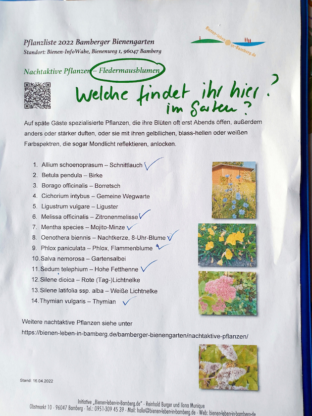 Aufgabe: Welche Fledermausblumen findet ihr hier im Garten? Bienenführung für Bienenpartin Diana Martin und MR ACR-Team Erlangen
