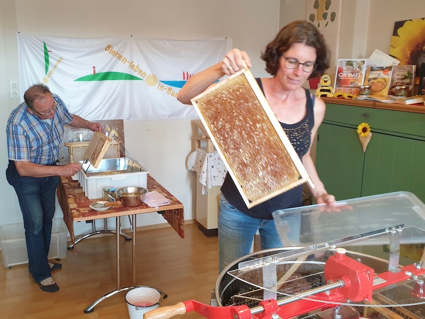 AK22, Modul 8, Honigverarbeitung Sternwarte, Imkerkurs für Anfänger von Bienen-leben-in-Bamberg.de