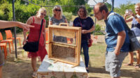 Führung/Vortrag Bienen und Honig für Sozialstiftung Bamberg, Gruppe Pflegeanlernende