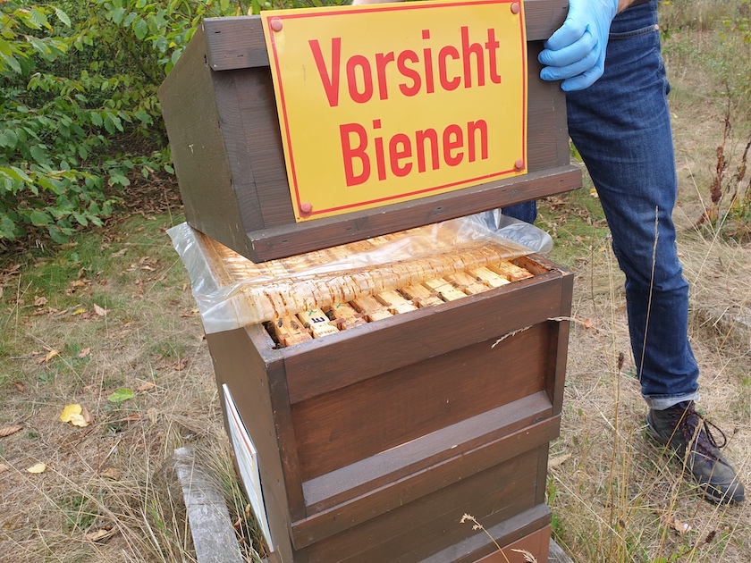 AK22 Modul 11 Einfüttern / Imkerkurs für Anfänger von Bienen-leben-in-Bamberg.de