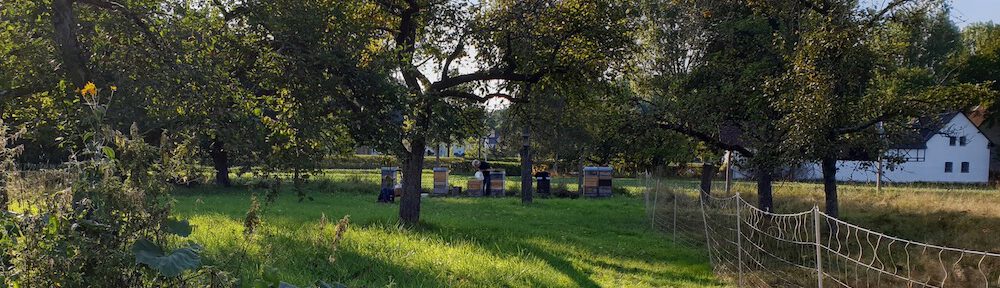Bienenstandort (Lagenstandort) Bughof