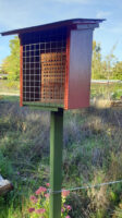 Wildbienen-Nisthilfe im Bamberger Bienengarten