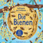 Cover Bone / Claude / Webb: Aufklappen und Entdecken – Die Bienen