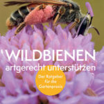 Cover Niebel-Lohman, Wildbienen artgerecht unterstützen. Haupt