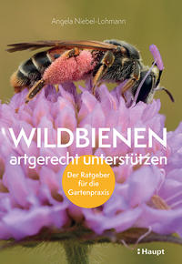 Cover Niebel-Lohman, Wildbienen artgerecht unterstützen. Haupt