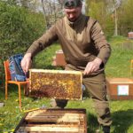 Imkeranfängerkurs von Bienen-leben-in-Bamberg.de, AK23, M4, [Frühjahrsarbeiten], Honigraumerweiterung, Ablegerbildung /