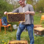 Imkeranfängerkurs von Bienen-leben-in-Bamberg.de, AK23, M4, [Frühjahrsarbeiten], Honigraumerweiterung, Ablegerbildung /
