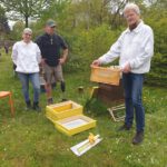 Schwarmverhinderung und Ablegerbildung im Imkeranfängerkurs, AK23, M5, Schwarmverhinderung / Bienen-leben-in-Bamberg.de