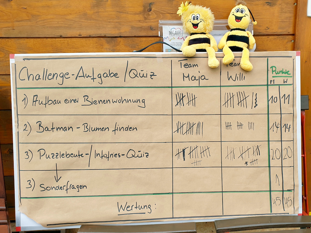 Schulbienen-Challenge für die Graf-Stauffenberg-Wirtschaftsschule in Bamberg, 8. Klasse, zum Schulbienen-Unterricht in der Bienen-InfoWabe, Bienen-leben-in-Bamberg.de