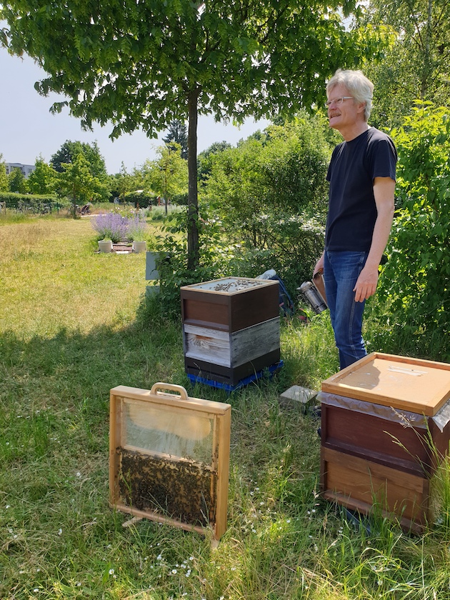 Schulbienenführung für den Obst- und Gartenbauverein Bamberg-Wildensorg am Pfingstsonntag 2023 / Bienen-leben-in-Bamberg.de