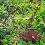 Rostiges Fahrrad, Kunstobjekt, Kurpark Egloffstein