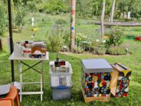 Imkerkurs für Anfänger von Bienen-leben-in-Bamberg.de, Modul 9 zur Varroabehandlung und Wabenhygiene