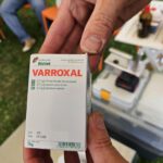 Imkerkurs für Anfänger von Bienen-leben-in-Bamberg.de, Modul 9 zur Varroabehandlung und Wabenhygiene