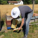 Honigernte Bughof (AK23, Modul 7, Imkerkurs für Anfänger von Bienen-leben-in-Bamberg.de)