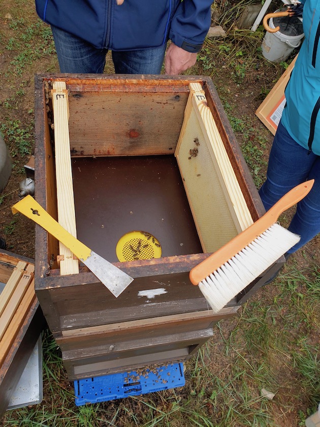 Honigernte Sternwarte (AK23, Modul 7, Imkerkurs für Anfänger von Bienen-leben-in-Bamberg.de)