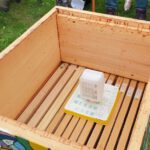 Imkerkurs für Anfänger von Bienen-leben-in-Bamberg.de, Modul 9 zur Varroabehandlung
