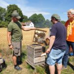 Honigernte Bughof (AK23, Modul 7, Imkerkurs für Anfänger von Bienen-leben-in-Bamberg.de)