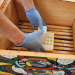 Imkerkurs für Anfänger von Bienen-leben-in-Bamberg.de, Modul 9 zur Varroabehandlung und Wabenhygiene