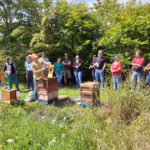 Imkerkurs für Anfänger von Bienen-leben-in-Bamberg.de, Modul 9 zur Wabenhygiene