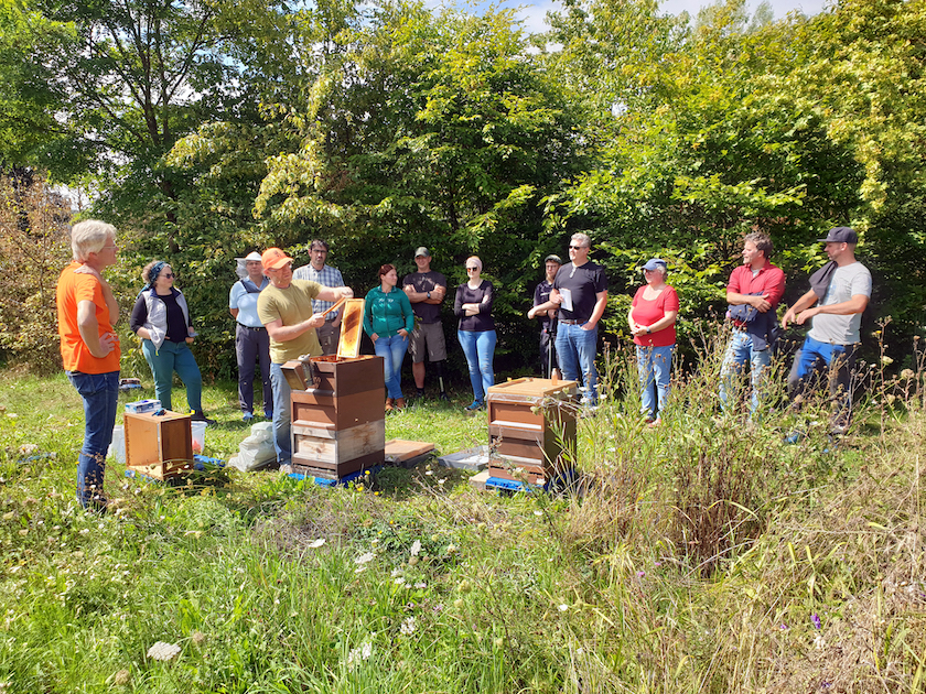 Imkerkurs für Anfänger von Bienen-leben-in-Bamberg.de, Modul 9 zur Wabenhygiene