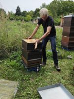 Imkerkurs für Anfänger von Bienen-leben-in-Bamberg.de, Modul 9 zur Varroabehandlung und Wabenhygiene