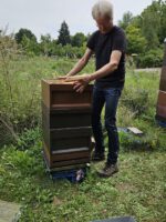 Imkerkurs für Anfänger von Bienen-leben-in-Bamberg.de, Modul 9 zur Varroabehandlung und Wabenhygiene
