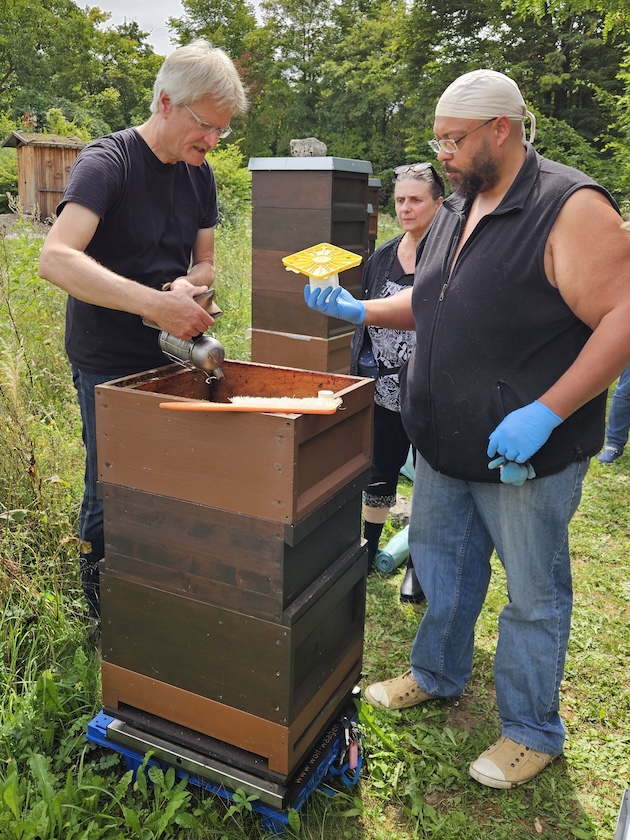 Imkerkurs für Anfänger von Bienen-leben-in-Bamberg.de, Modul 9 zur Varroabehandlung und Wabenhygiene