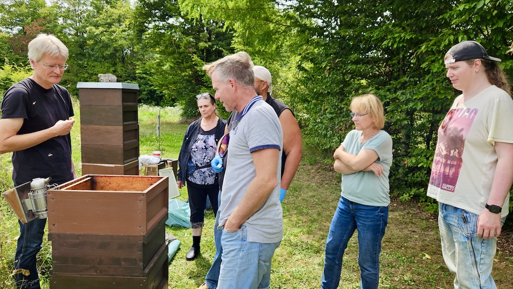 Imkerkurs für Anfänger von Bienen-leben-in-Bamberg.de, Modul 9 zur Varroabehandlung und Wabenhygiene