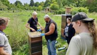 Imkerkurs für Anfänger von Bienen-leben-in-Bamberg.de, Modul 9 zur Varroabehandlung und Wabenhygiene