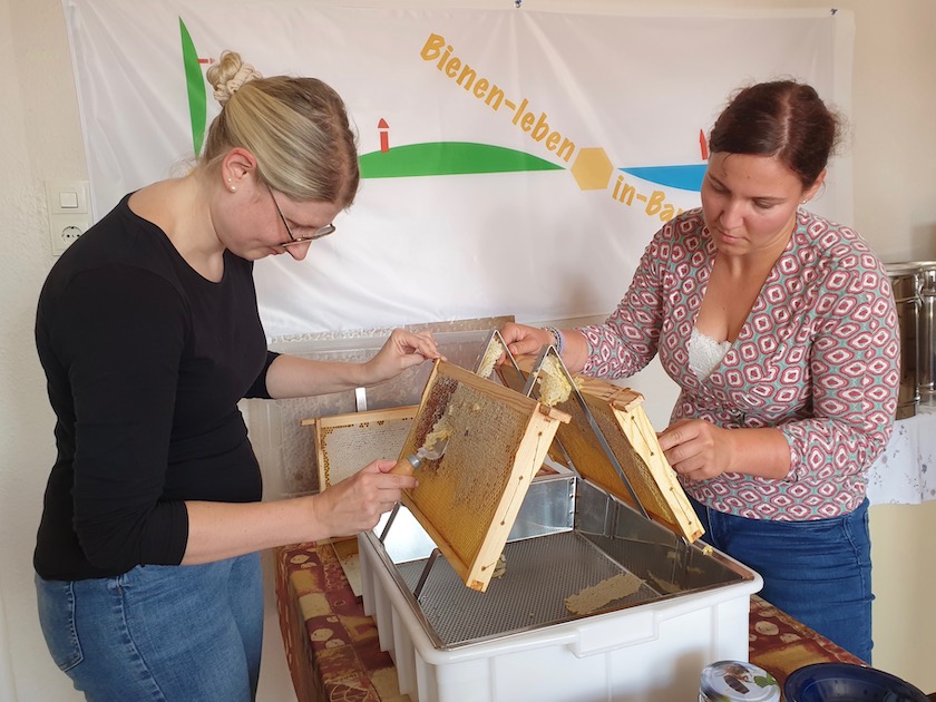 Honigverarbeitung Sternwarte (AK23, Modul 8, Imkerkurs für Anfänger von Bienen-leben-in-Bamberg.de)