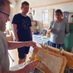 Honigverarbeitung Buger Wiese (AK23, Modul 8, Imkerkurs für Anfänger von Bienen-leben-in-Bamberg.de)